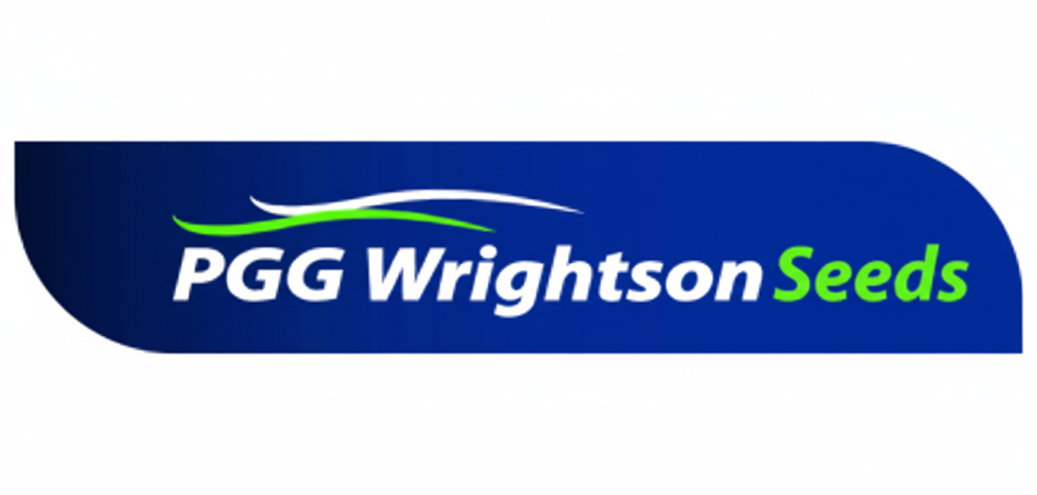 Gemini_Generated_Image_gj2rn2gj2rn2gj2r